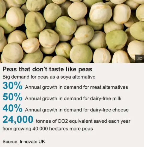 BBC News Graphic that shows the demand for meat alternatives is growing at 30% a year, and for dairy free milk and cheese alternatives a it is nearly 50% and 40% respectively