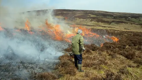 Lorne Gill Muirburning