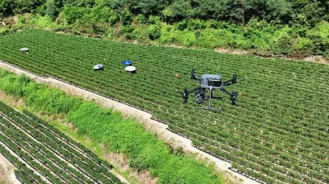 A drone view of a drone flying over farmland in South Korea