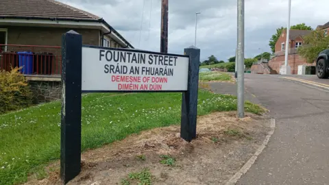 A view of a street sign in Fountain Street, Downpatrick on the edge of a grass verge. The name of the street is written in English and Irish and also says "Demesne of Down" in both languages. There are lamp posts and houses in the background. 