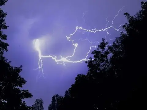 Peter Barrett / Weather Watchers A bolt of Lightning pictured over a line of trees in Hornchurch, Greater London