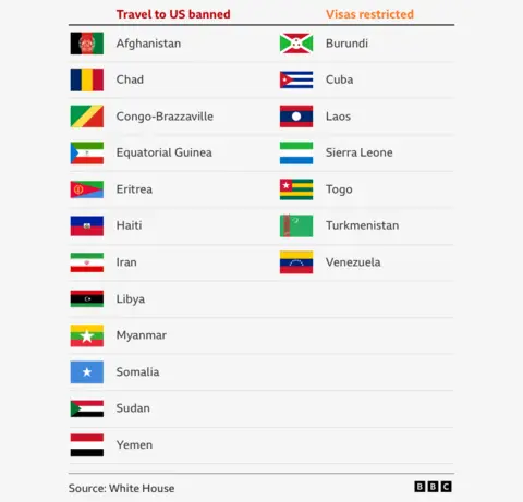 Image shows flags of countries where travel to the US is banned and where visas are restricted. 