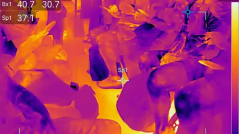 Greenpeace / TI Thermal Imaging Thermal image of a packed Victoria Line carriage showing a hot, yellow floor