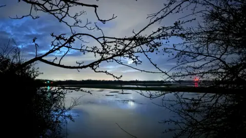 OxFoto A large body of water framed by silhouetted trees. 