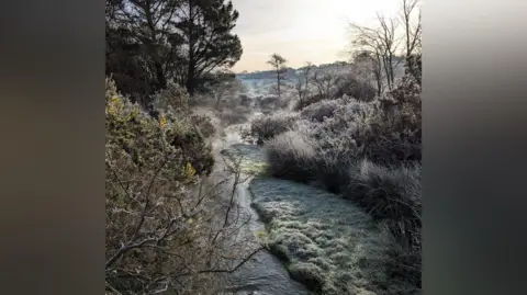 BBC Weather Watchers/AJ A view of a creek cutting through frosty forest