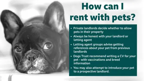 Graphic showing tips of how to rent with a pet. On the left is a black and white photo of a dog and on the right is a green box with several points. The title says: How can I rent with pets? The bullet points are as follows: private landlords decide whether to allow pets in their property, always be honest with your landlord or letting agent, letting agent groups advise getting references about your pet from previous landlords, Dogs Trust recommend writing a CV for your pet with vaccinations and breed information, and you may also attempt to introduce your pet to a prospective landlord.