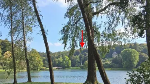 Local Democracy Reporting Service Stourhead's lake, a picture taken behind a few trees. Trees surround the lake at the back and there is a red arrow pointing to the back of the trees, indicating where the panels would be so they would be hidden