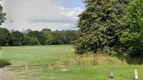 Google A grassy field with trees on the right hand side and trees in the distance