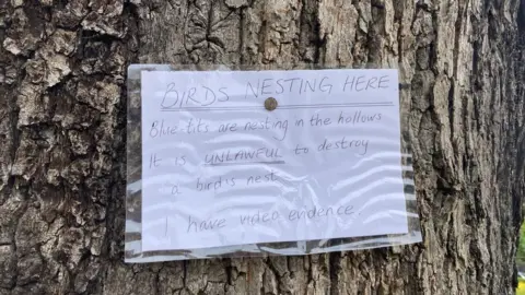 Katy Lewis/BBC Sign on tree marked for felling