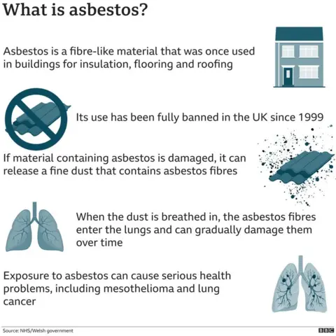 A graphic states what asbestos is and explains its effects.