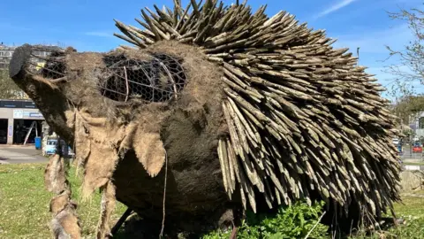 BBC The larger hedgehog in need of repair