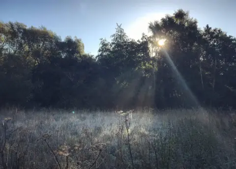 Esther Johnson Early morning mist over Lye Valley