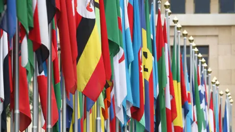 Getty Images Flags at the UN