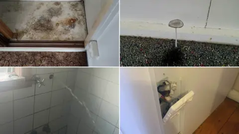 Supplied A composite image of a mouldy cupboard, a mushroom growing in carpet, water spurting out of a wall in a bathroom, and a power socket hanging out of a wall