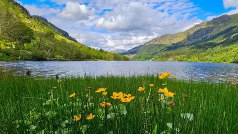 A mountain lake landscape with tall green grass and bright yellow wildflowers in the foreground. The lake reflects the surrounding slopes and the sky is blue with some clouds
