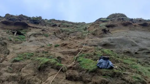 Badger Trust Isle of Wight Looking up the face of a rugged steep cliff there are areas of grass mounds and mud a number of ropes are dangling down.