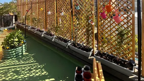 Luton Borough Council An outdoor space of a school showing trellis, pots, plants and greenery and a green floor.
