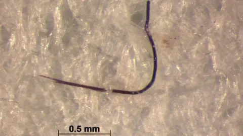 SAMS Piece of microplastic