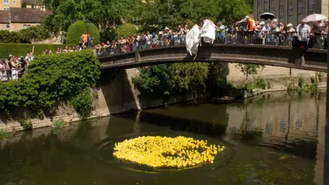 Bradford on Avon Town Council Many yellow rubber ducks have been dropped into a river beneath a bridge. Crowds line the bridge, some using umbrellas as parasols.