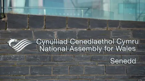 Getty Images Sign outside the Senedd