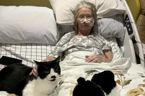 John Owen Rowena is sitting in a hospice bed - it looks similar to a hospital bed, with a tube attached to her nose, with micropore tape holding it in place. She is wearing a black and white top and is under the sheets. She is stroking her cat, who has been brought into the hospice. The cat is mostly black with patches of white. Rowena, who has mid length grey hair combed back and wears glasses, is looking into camera with a slight smile on her face. 