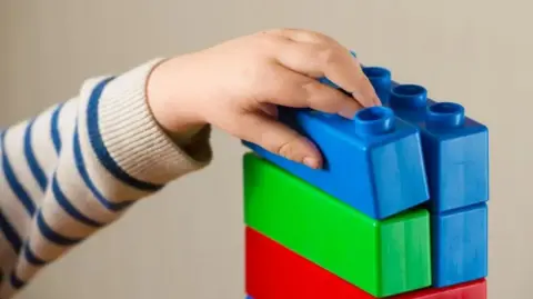 Toy bricks - some are blue, others are red and one is green - are on the right hand side of the photo. A hand is touching one blue brick on the top of the pile.