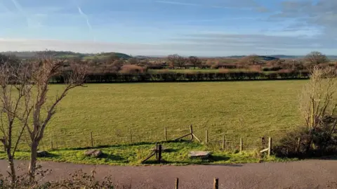 A green plane of countryside divided up by hedgerows and fences beneath a blue sky. 