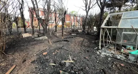 Burnt ground can be seen with a damage greenhouse on the right of the image. Tree stand burnt and dead with unaffected houses visible in the background.