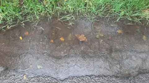 A puddle, with ripples created by fresh rain and autumnal golden leaves in it. It is edged with green grass at the top and tarmac at the bottom