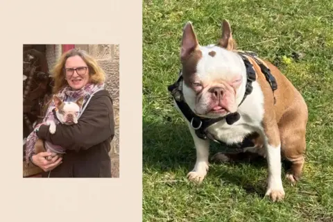 Montage showing a picture of Louise Burns holding her dog Bow, a Boston terrier, alongside another image of Bow sitting on a patch of grass