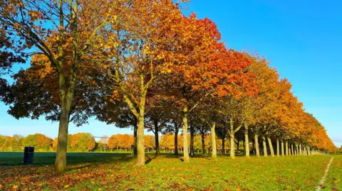 Jenna Maryniak Werrington fields 