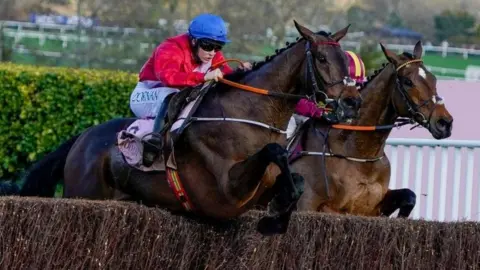 Horses racing at Cheltenham Festival