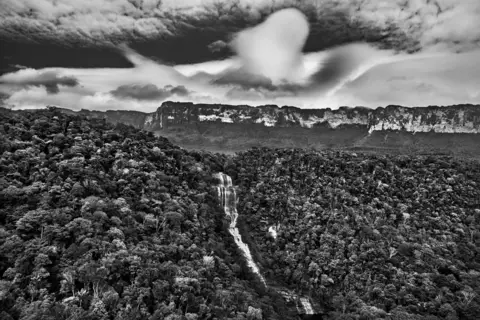 Sebastião Salgado Black and white photograph of clouds above forest
