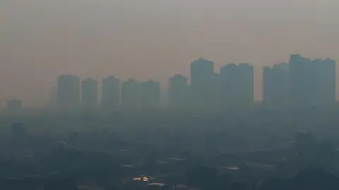 Reuters A drone view shows heavy smoke from fires at the vegetation in Ribeirao Preto, Brazil, August 24, 2024. REUTERS