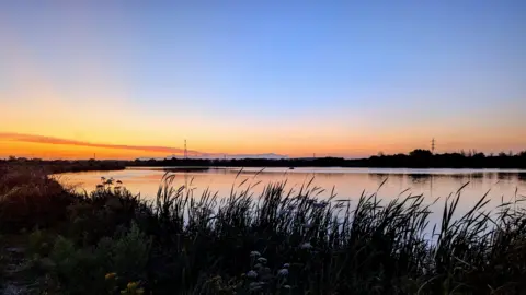 The sunsets over a body of water illuminating the sky with an orange glow. The light reflects on the water and silhouetted on the horizon are a row of trees and electricity pylons. In the foreground there is a row of plants and small flowers. 