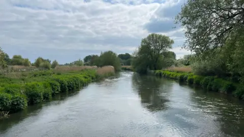 A view looking down the middle of the river: it is a wide part of the river, with lush green grassy banks and the odd tree. A sunny day with white clouds and blue sky.
