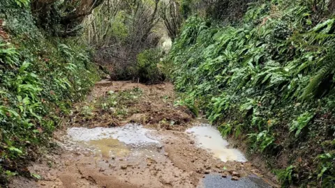 Dorset schools closed and travel disrupted due to rain