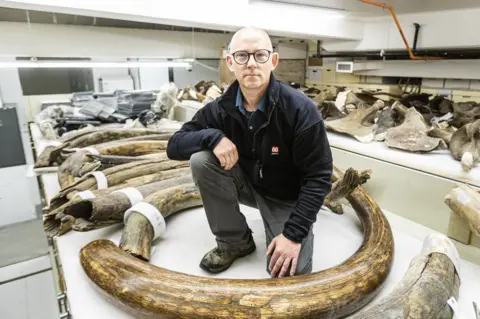 JR Ancheta Dr Matthew Wooller with the 17,000-year-old mammoth tusk