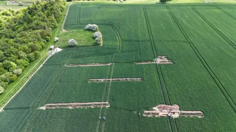 AOC Archaeology Group There image shows trenches of dug up soil in a green field.