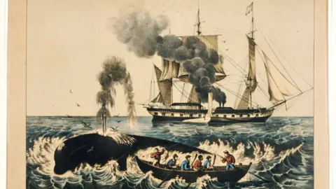 Courtesy Library of Congress Currier & Ives lithogragh of whalers attacking a right whale