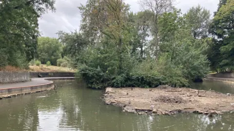 A view of the pond in St George park showing exposed areas of dirt around an island in the middle of the lake where water should be