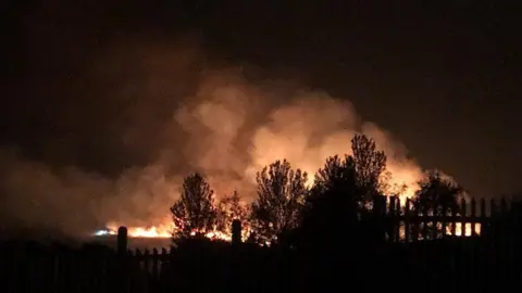 Pete Abel Fire in Ashdown Forest