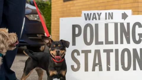 A small black and tan dog stands on a lead beside a “Polling Station” sign outside a voting location. The animal appears to be waiting with its owner on election day. The words “Way In” are visible on a directional arrow above the entrance sign, highlighting voter access. The background shows a parked car and a brick building.