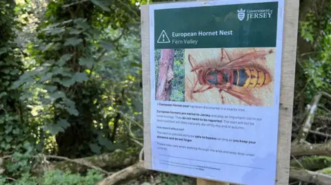 European Hornet Nest warning sign at Fern Valley