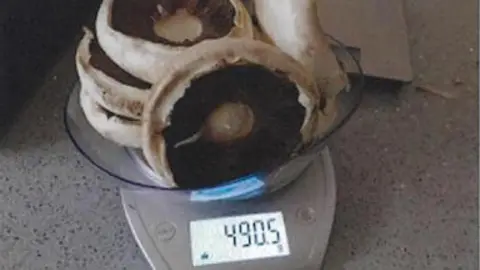 Supreme Court of Victoria Food weighing scales with a glass bowl of mushrooms on it. the scales read 490.5g