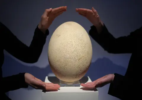 YUI MOK / PA WIRE Two people place their hands near the giant egg in dramatic fashion. 