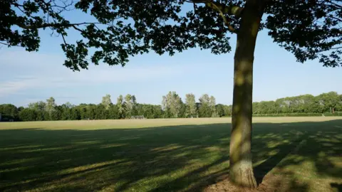 A tree stands in the foreground, casting a shadow over the grass of playing fields. In the background are football goals and a perimeter of trees and bushes.