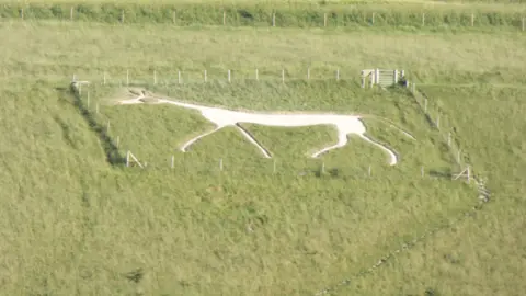 Peter Sharpe A skinny white horse within fences on grass.