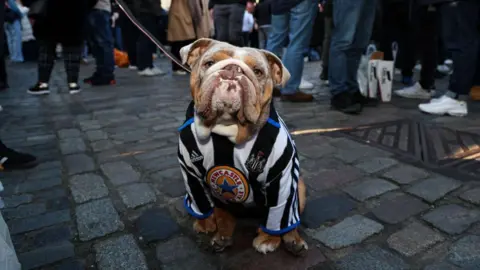 Michelle Mercer/Getty Images son un bulldog con una camisa de Newcastle United