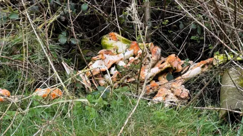 animal bones piled up in a thicket
